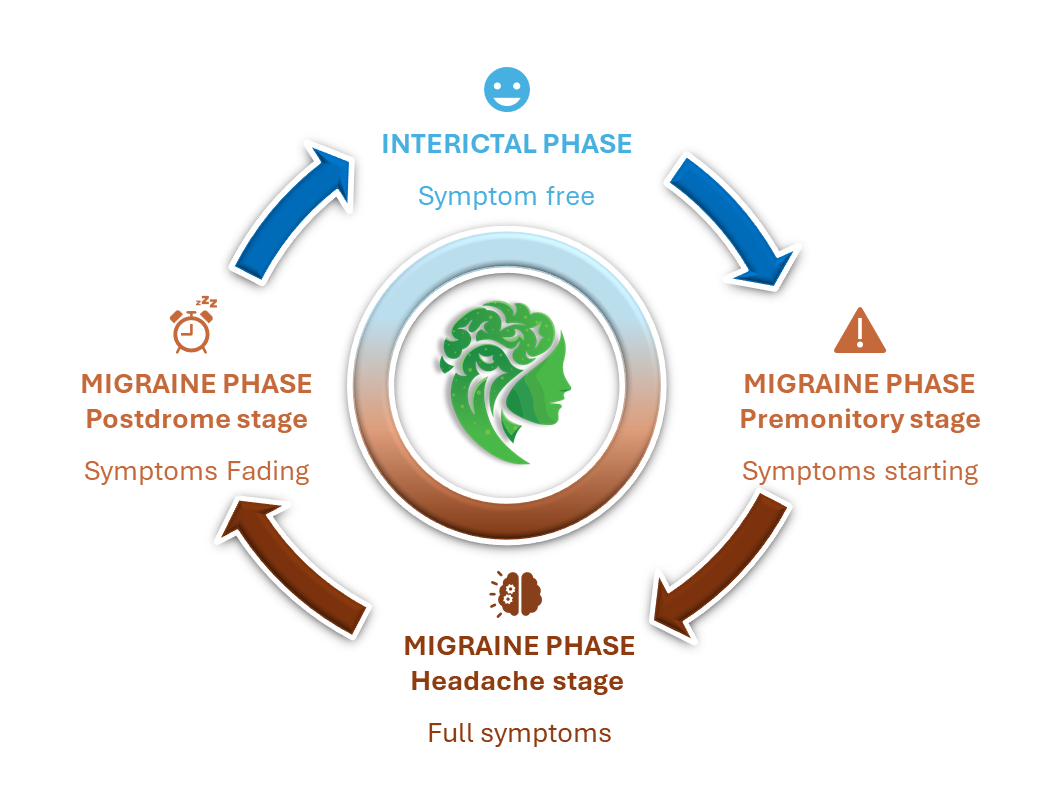 Learn about the distinct phases of a migraine—from premonitory signs to recovery—and how Migraceutics™ offers targeted nutraceutical solutions for each stage.